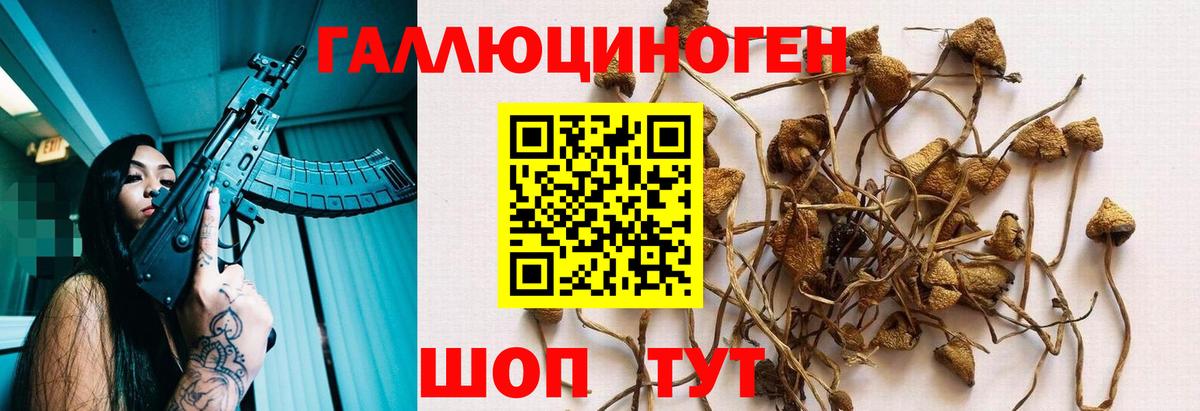 Псилоцибиновые грибы Psilocybine cubensis  Вход с VPN  Котовск 